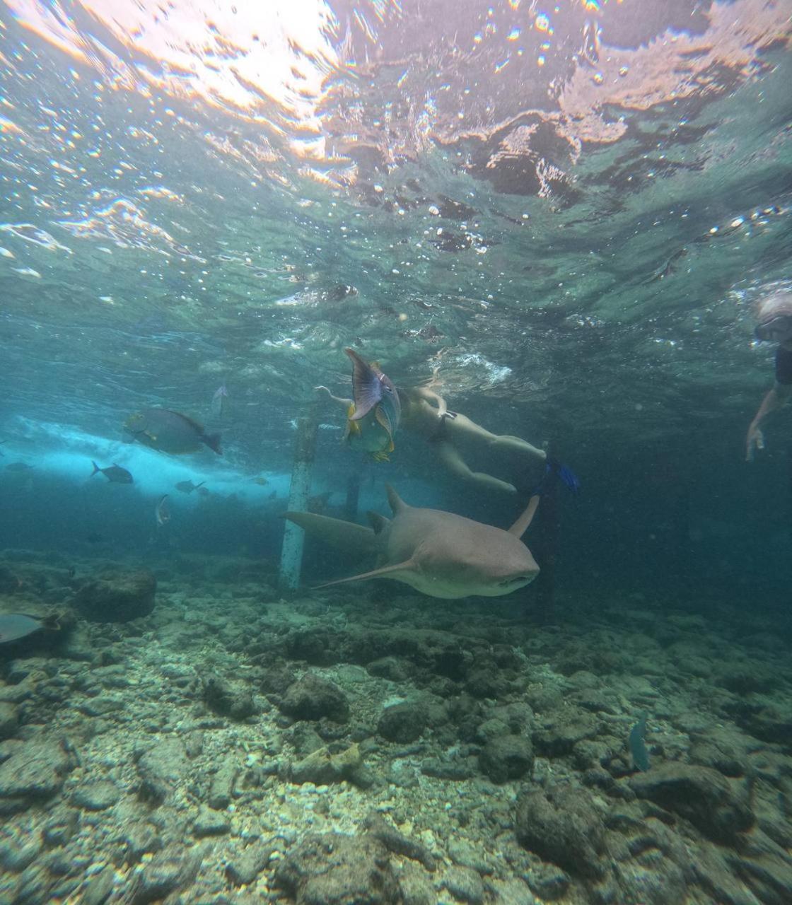 Nirili Villa Dhiffushi Luaran gambar