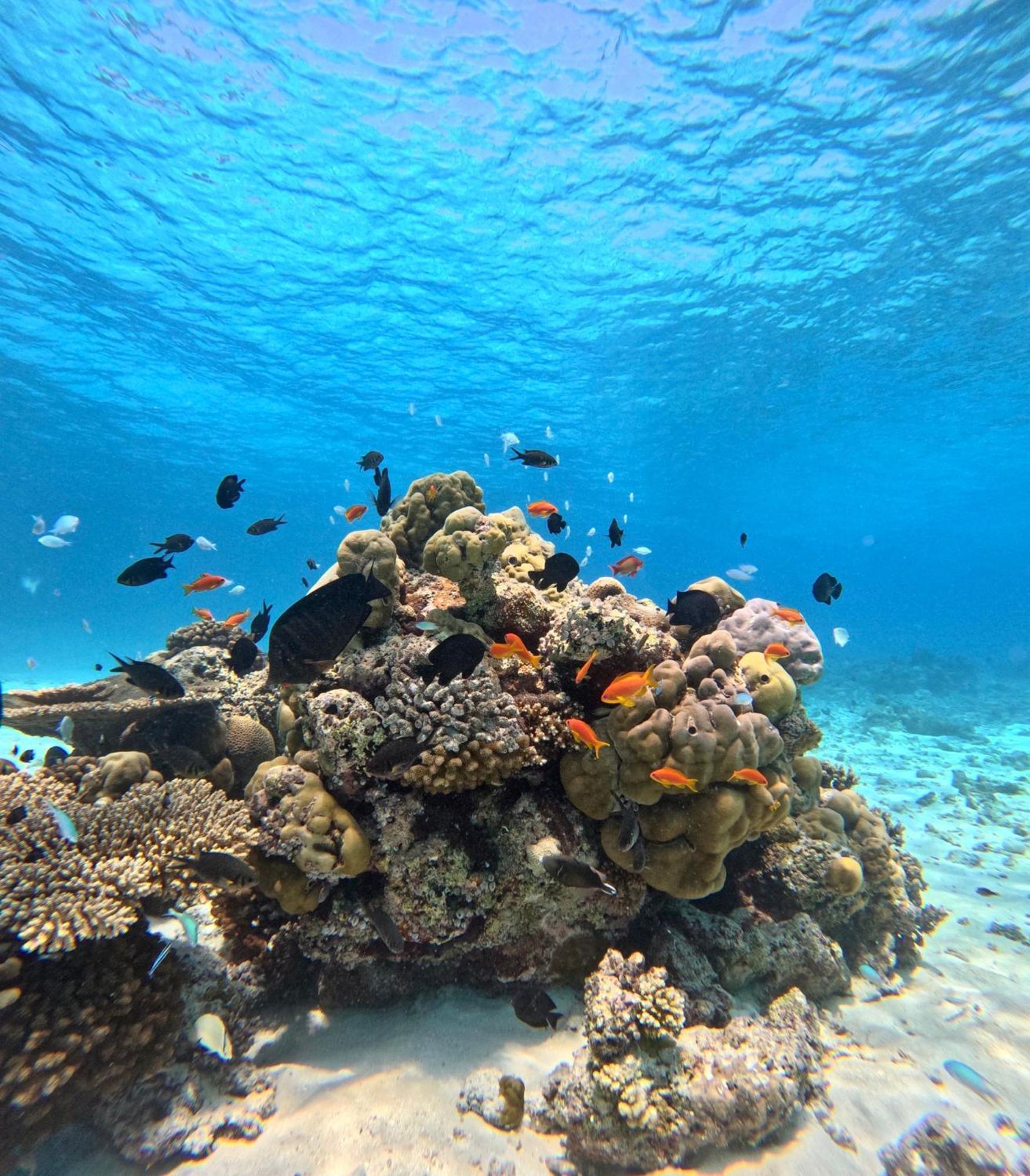 Nirili Villa Dhiffushi Luaran gambar